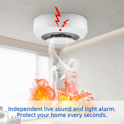 Independent Smoke Alarm Fire Protection